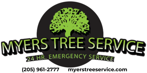 Myer's 树木服务徽标